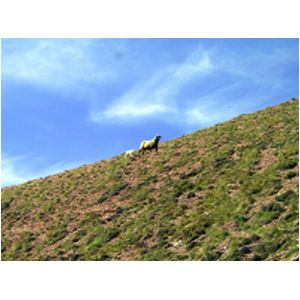 140-4097_IMG.html