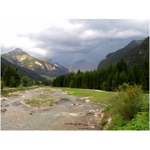 152-5222_IMG.JPG