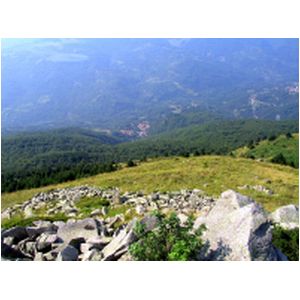 162-6201_IMG.JPG