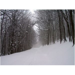 146-4635_IMG.html