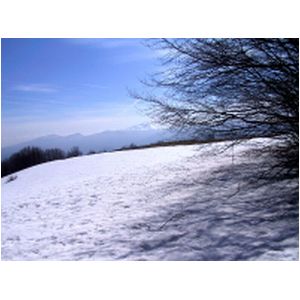 157-5743_IMG.JPG